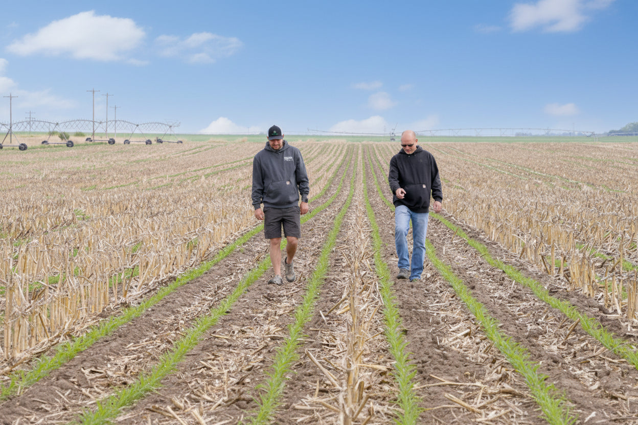 Two men walking through a planted field