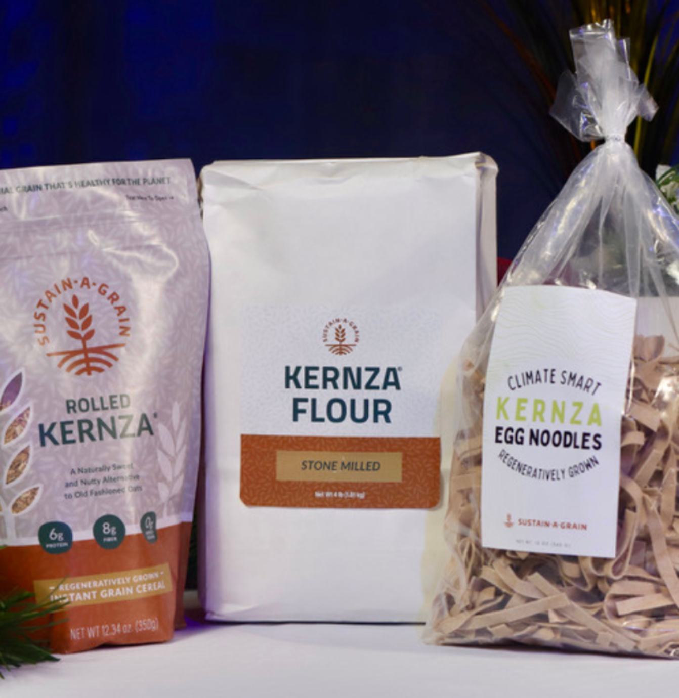 Josh's Kernza Acre — Norton, Kansas